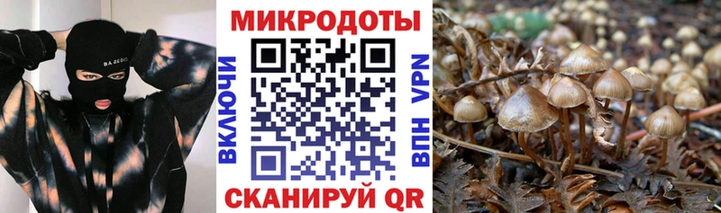Галлюциногенные грибы ЛСД Зеленодольск