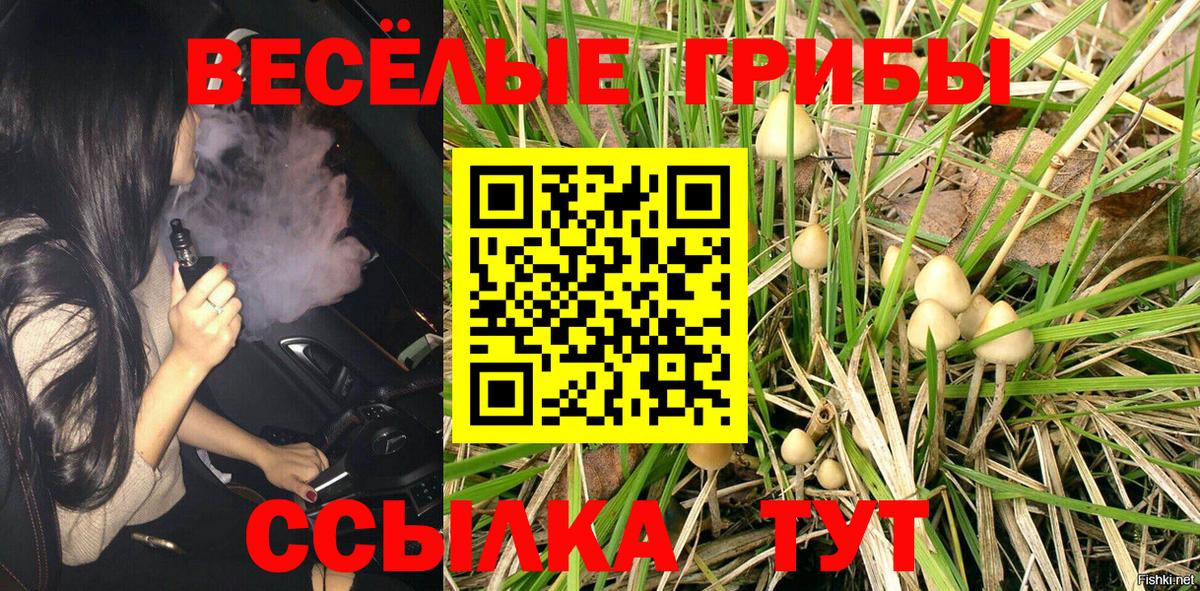 Псилоцибиновые грибы MAGIC MUSHROOMS Зеленодольск