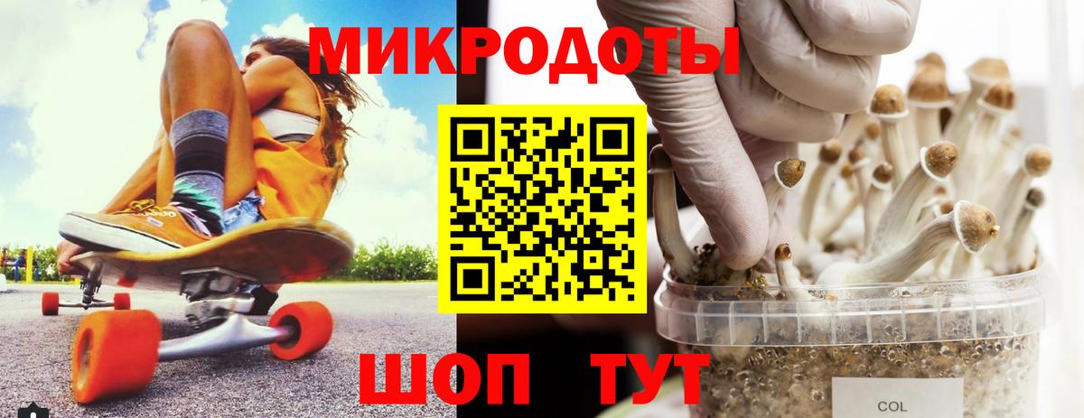 наркотики  Вход с VPN  Зеленодольск  Псилоцибиновые грибы мицелий 